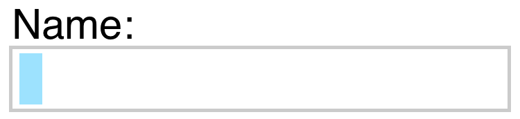 A text input with a light border and a light blue caret.